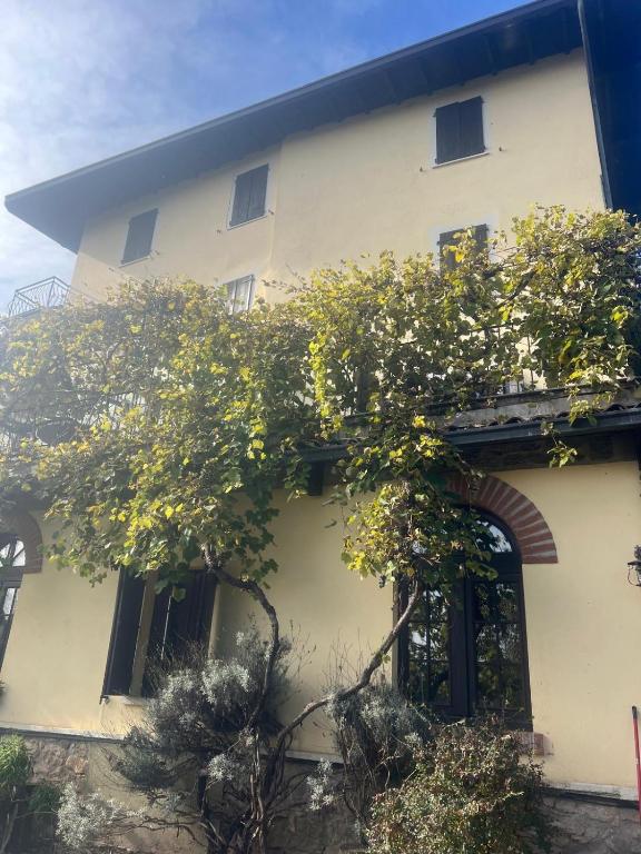a building with a tree in front of it at Il Brolo in Avenone