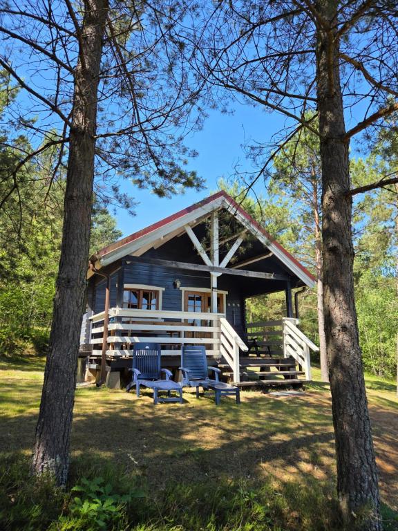 a cabin in the woods with two blue chairs in front at Niebieski domek na Kaszubach in Dziemiany