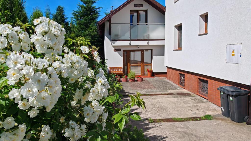 a house with white flowers in front of a building at Mały Domek in Szczecinek