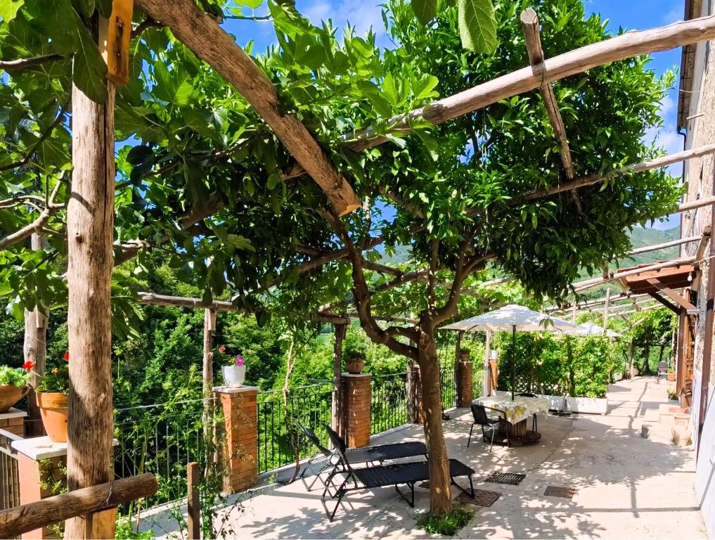 a patio with a tree and chairs and an umbrella at Casale Gelsi in Maiori