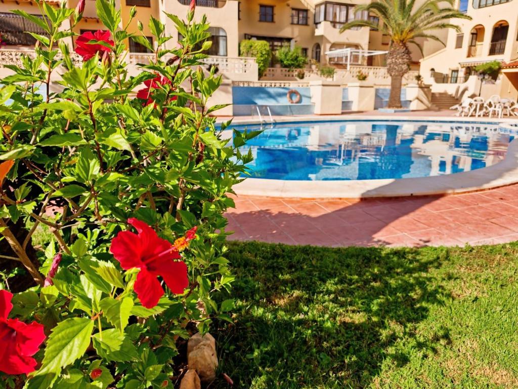 Sea views holiday DaNuria