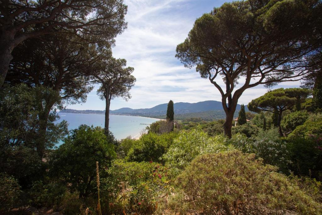 a view of a lake through some trees at Chambres d'hôtes - La Moustelle in La Croix-Valmer