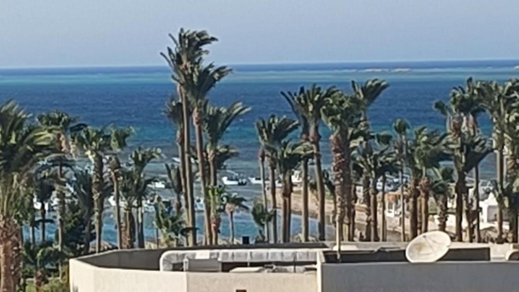 a view of a beach with palm trees and the ocean at Hurghada Sea View Apartment in Hurghada