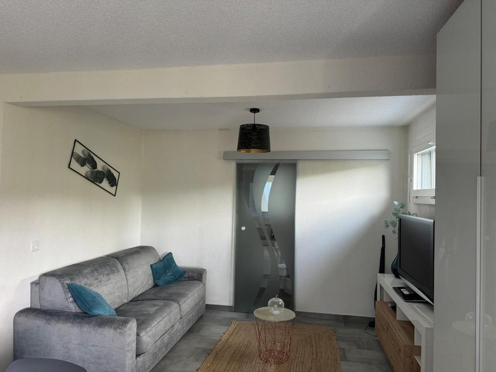a living room with a couch and a television at Studio Redin in Savièse
