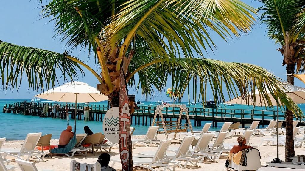 a group of people sitting in chairs on a beach at Hotel Garden Flora Punta Cana Beach in Punta Cana