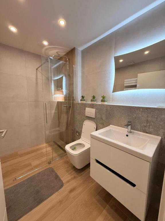 a bathroom with a toilet and a sink and a shower at RM Apartaments in Bochum