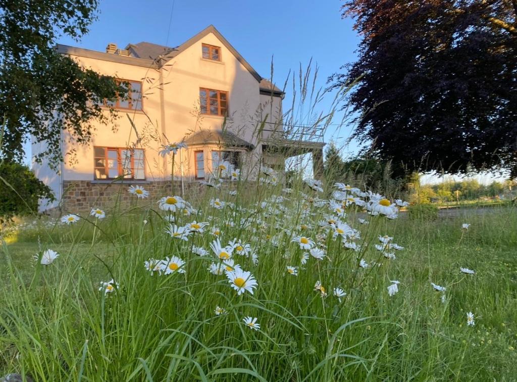 a field of flowers in front of a house at Le pas du loup in Hulsonniaux