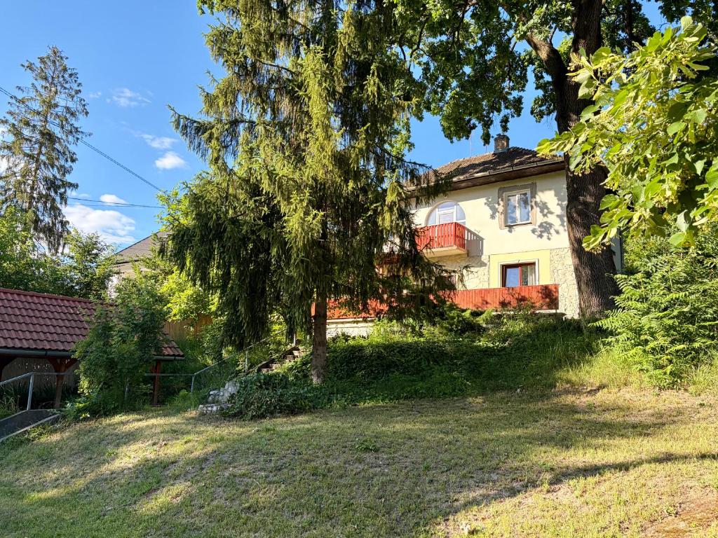 a house with a tree in front of it at LaBONI Apartman in Miskolctapolca