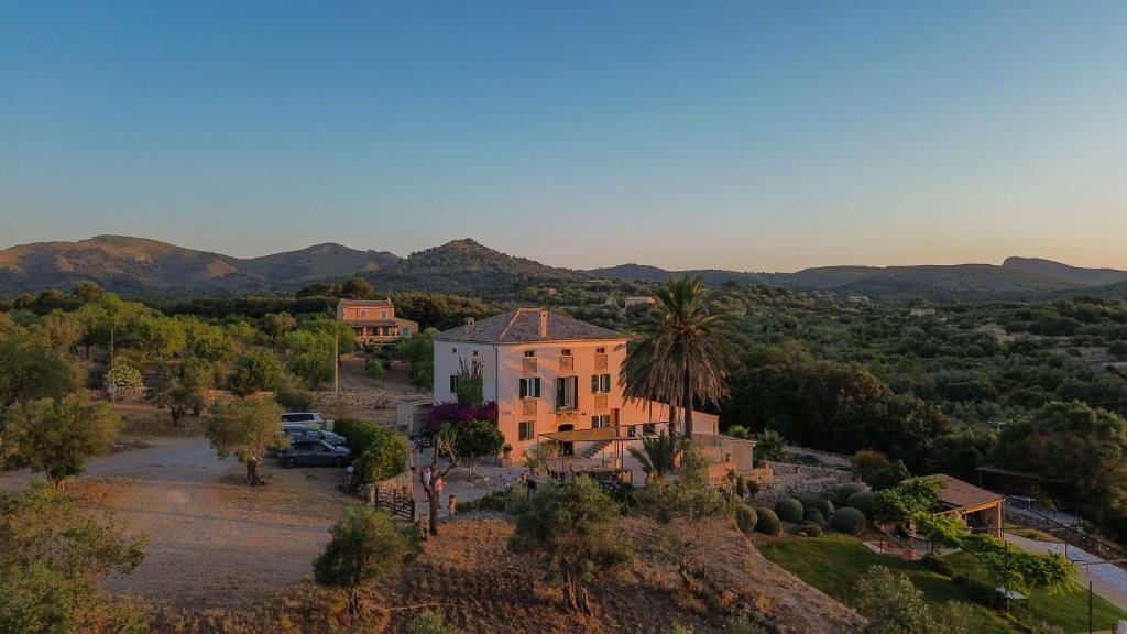an aerial view of a house with a palm tree at Barkala Mula in Artá
