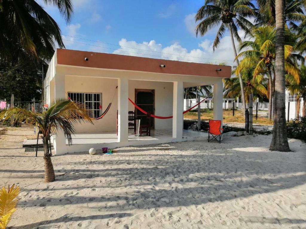 a small white house on the beach with palm trees at Cozy beachfront house Cocomar in San Crisanto