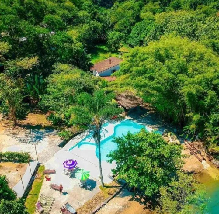 an aerial view of a swimming pool with a palm tree at Hotel Ibiza in Angra dos Reis