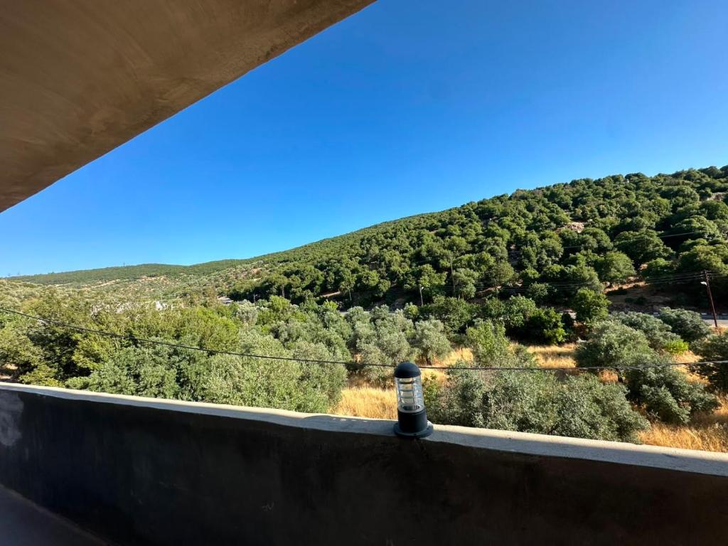 a view from the top of a mountain at مطل محنا الجبلي in Ajloun