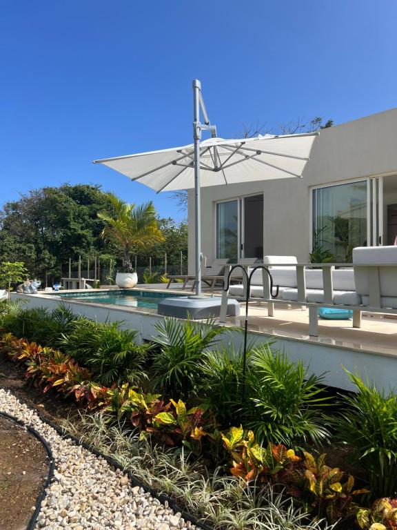 a swimming pool with a white umbrella and some plants at Sol del Este Luxury by SH in San Andrés