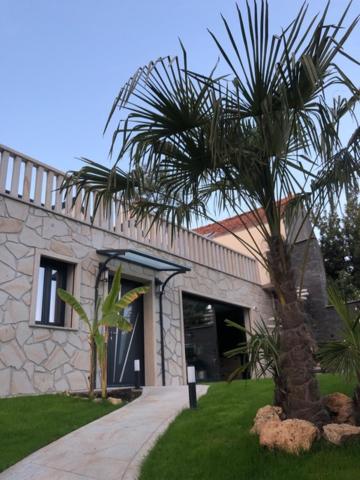 a palm tree in front of a building at Villa Champlan in Champlan