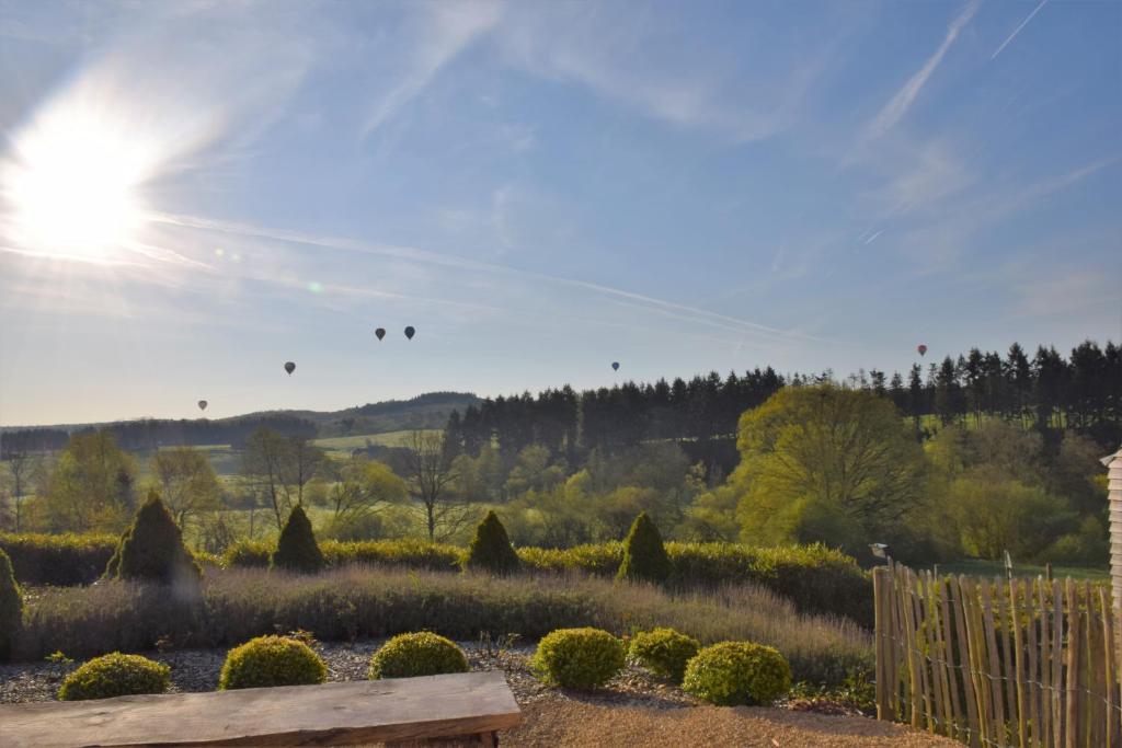 Příroda nedaleko bed and breakfast