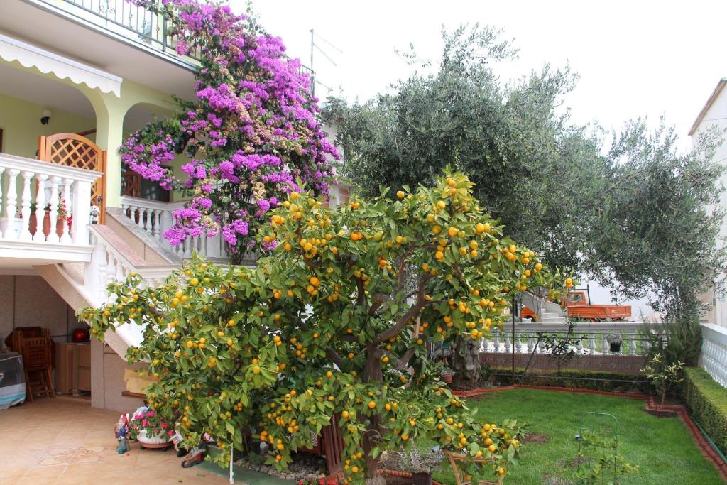 Apartmani Gojević - Apartamento Con Vista Al Jardín