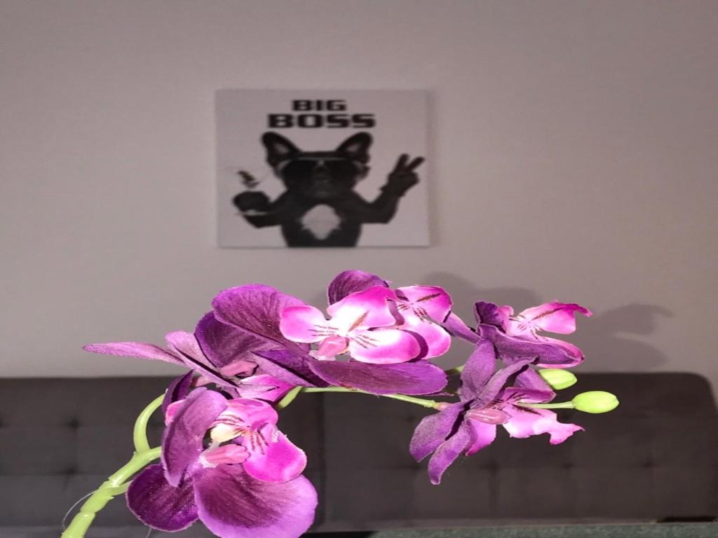 Apartment Am Ring - Appartement - Rez-de-chaussée