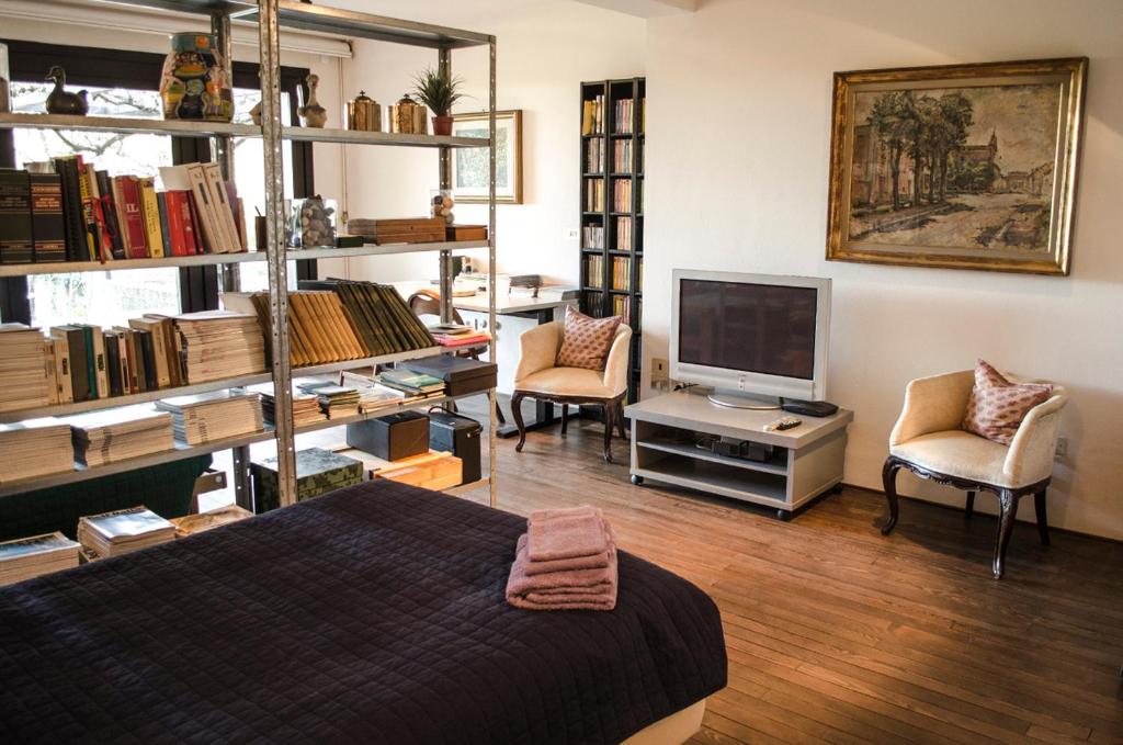 Habitación con cama, TV y libros. en Bed & Breakfast San Lazzaro Room, en San Lazzaro di Savena