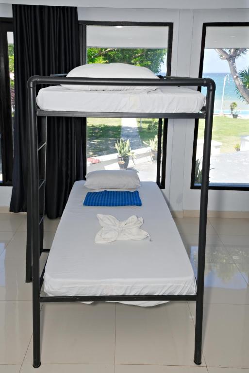 Oceana Dive Resort - Gemischter Schlafsaal Mit 4 Betten