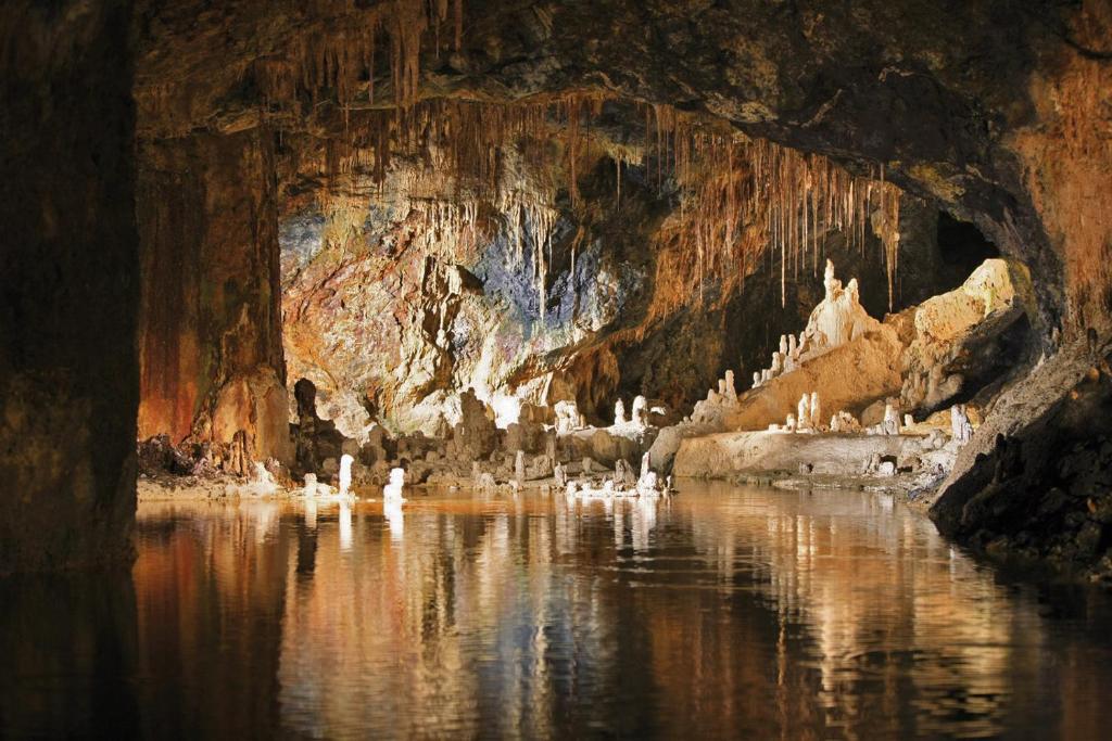 a group of swans in the water in a cave at Hotel Anker in Saalfeld