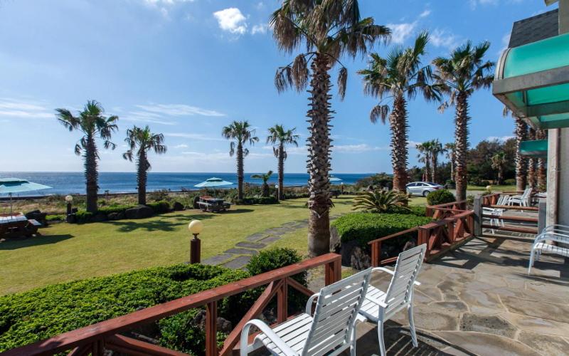 a patio with chairs and palm trees and the ocean at Jeju seawalk in Namwon