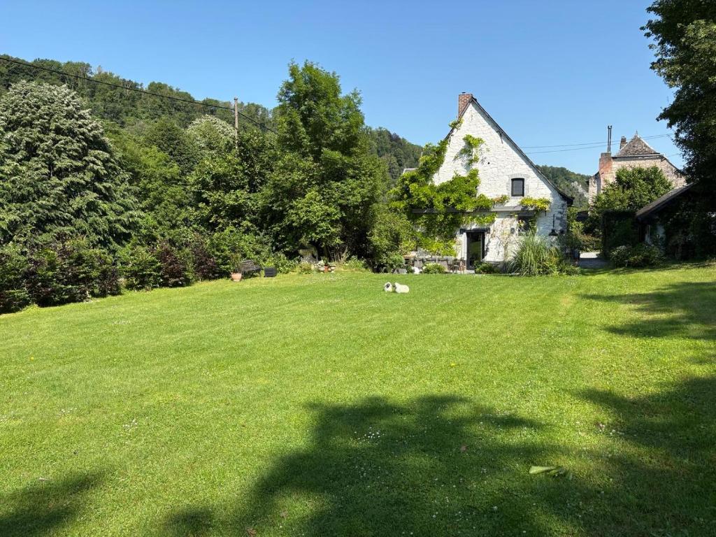 a green yard with a house and a dog laying in the grass at Riverside Cottage Dinant in Dinant