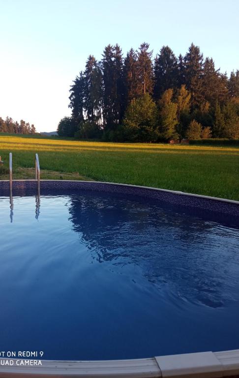 a pool of water with trees in the background at Pension Fanlor in Zubčická Lhotka