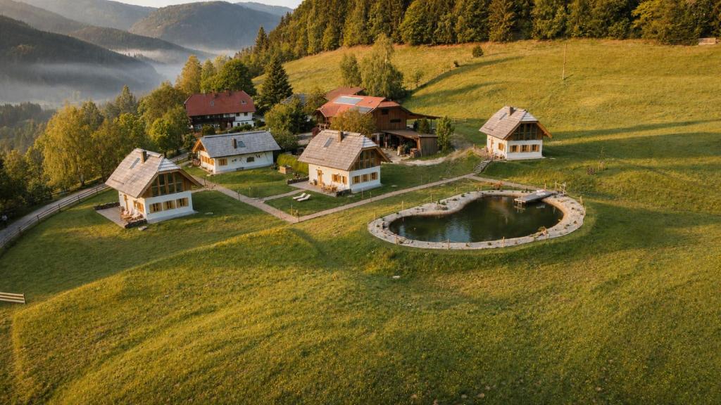 an aerial view of a house on a hill at Ebner 1822 in Gnesau