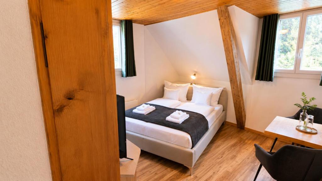 Hotel Sternen Gurtnellen AG - 小双人间