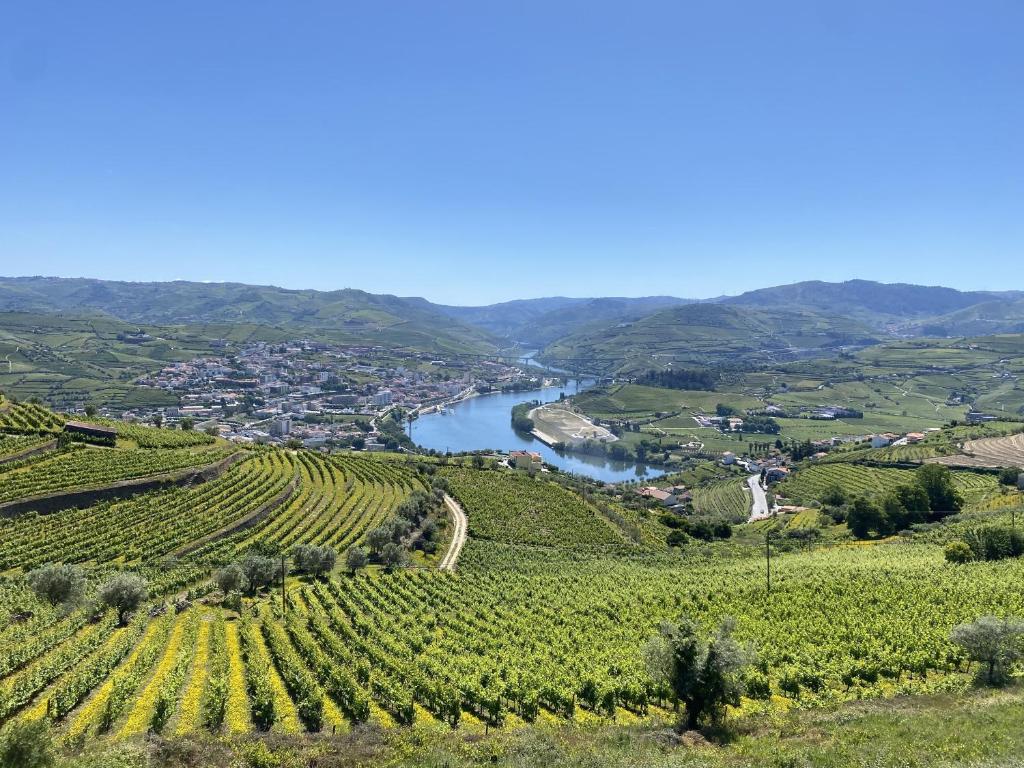 a view of the napa river and vineyards at Casa do Paço Suítes Douro Valley in Peso da Régua