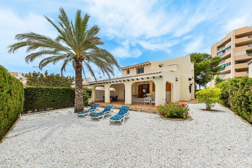 a house with a palm tree and blue chairs at Chalet Mayor Zenia Beach in Orihuela