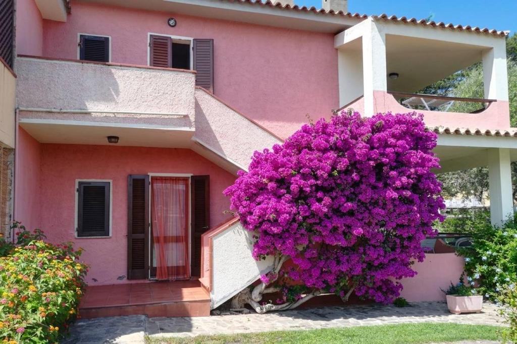 a pink house with a large bush of purple flowers at Appartamento La Terrazza in Cannigione