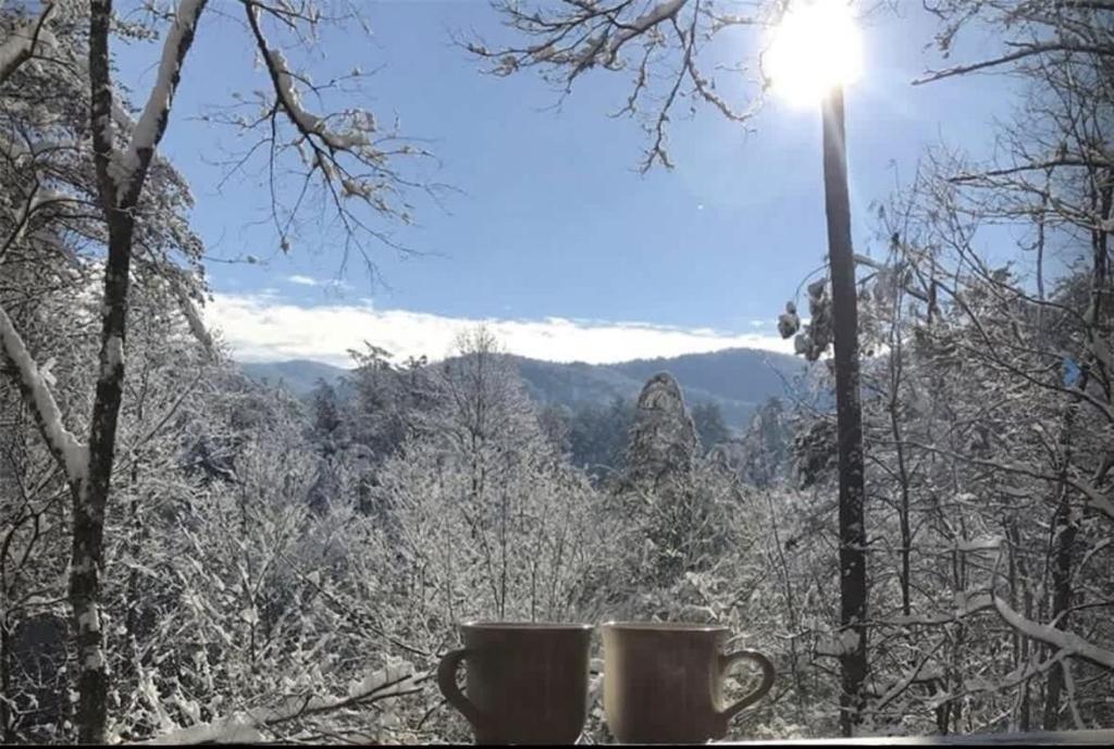 two coffee cups sitting on a table in the snow at Pet-Friendly Mountain Heaven - Hot Tub and Fire Pit in Blue Ridge