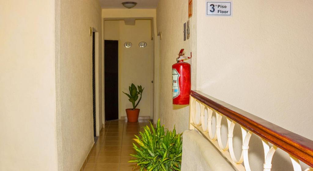 Fotografie z fotogalerie ubytování Mocali v destinaci Puerto Vallarta