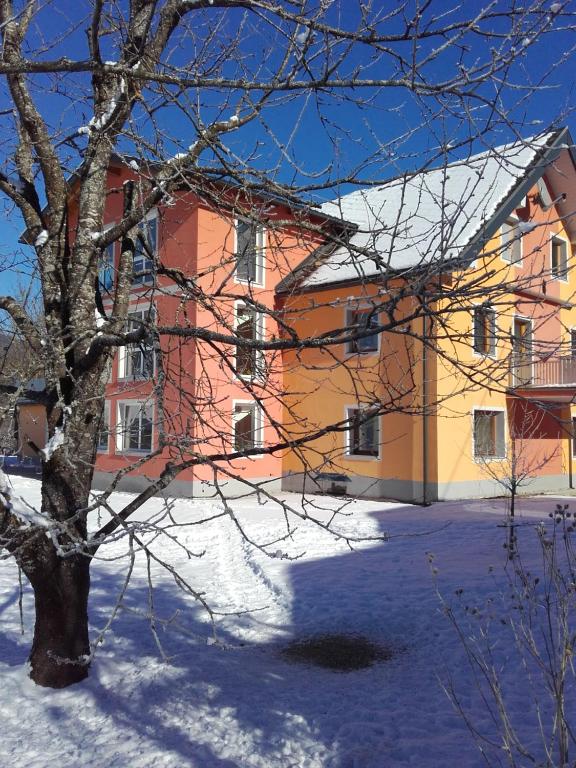 Basecamp Apartment