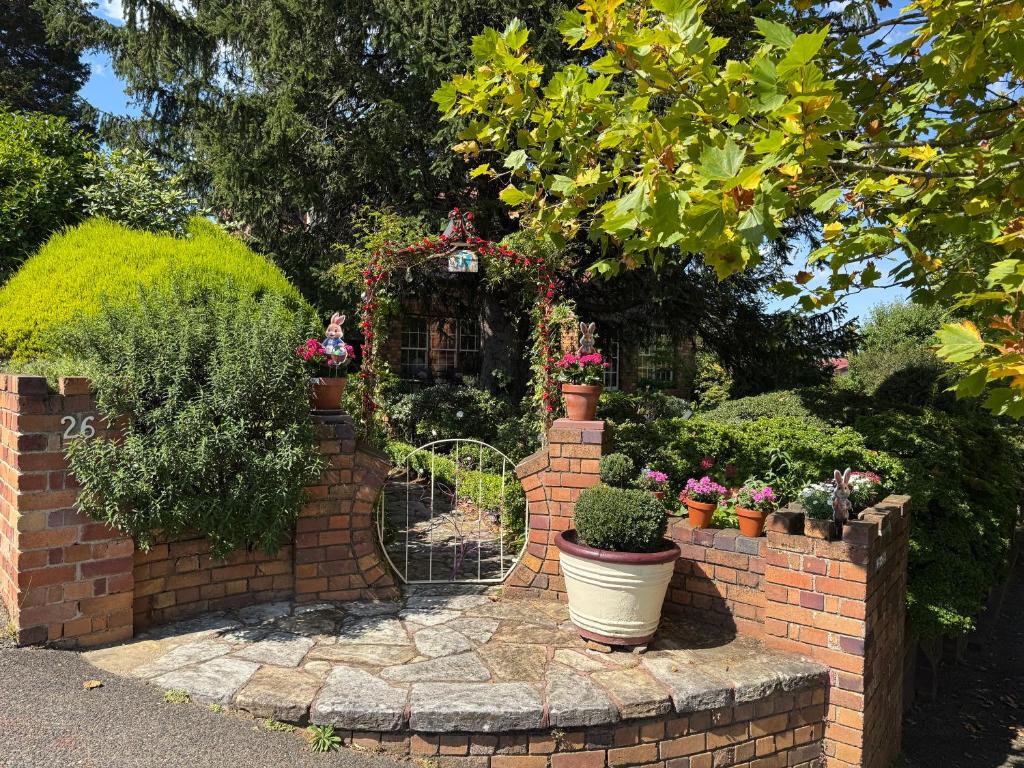 a brick fence with potted plants on it at Echo Point Cottage in Katoomba