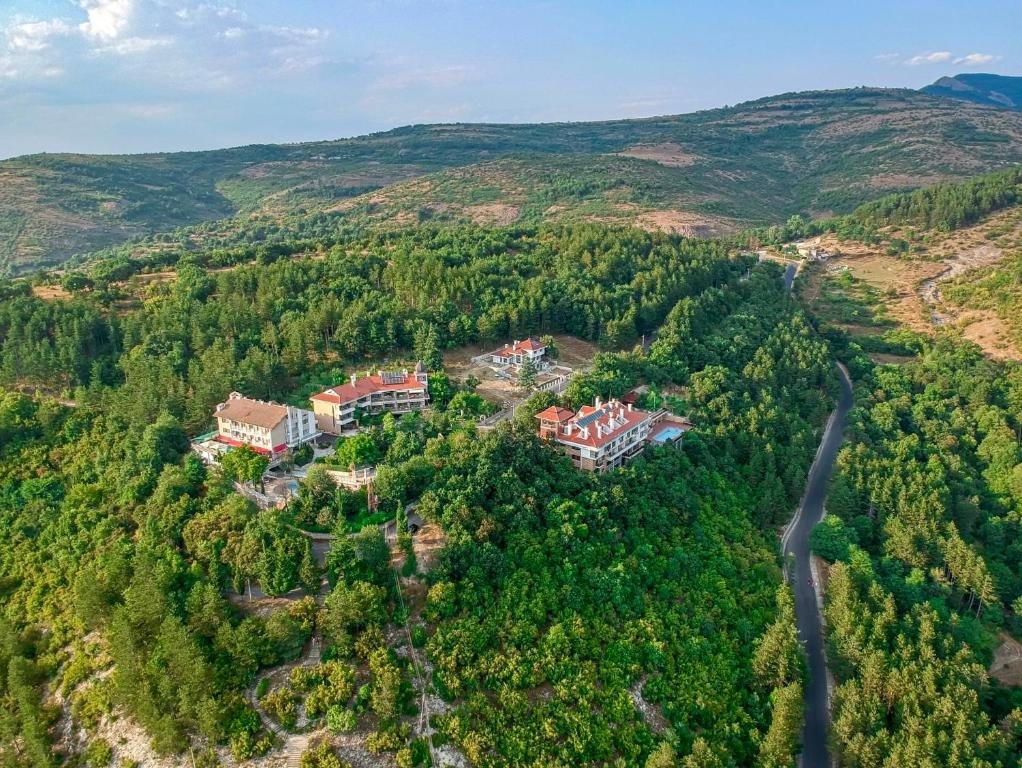 an aerial view of a house in a forest at OLEO hotel in Momchilgrad
