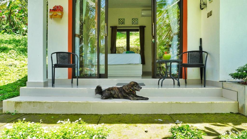 a dog laying on the steps of a house at Kubu Kiku Megati in Selemadeg