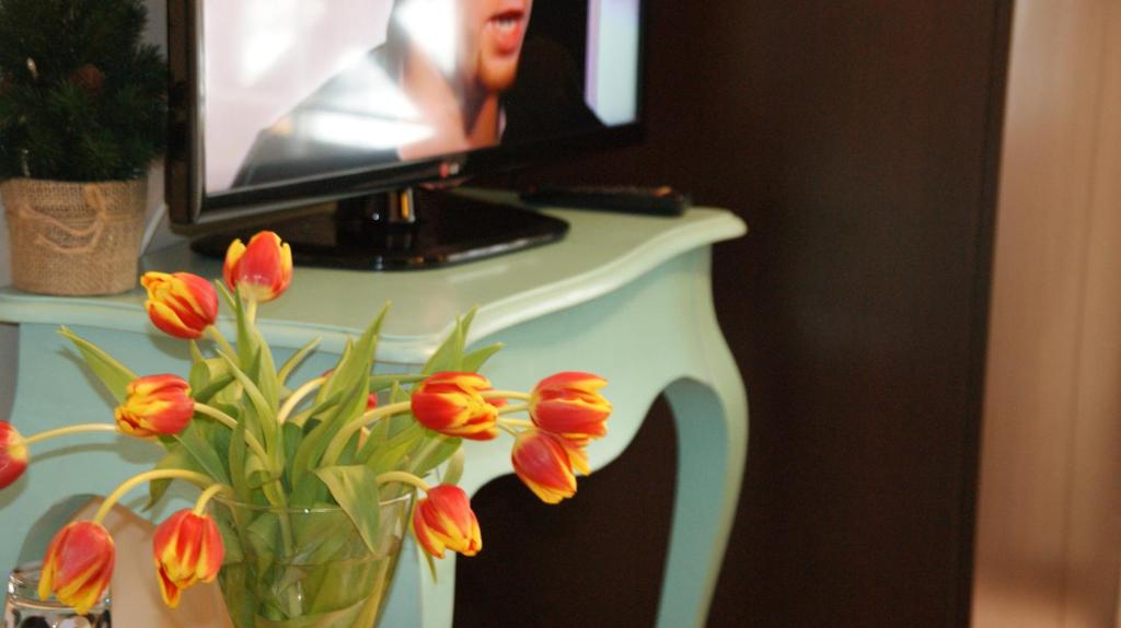 TV a/nebo společenská místnost v ubytování Willa Plejady