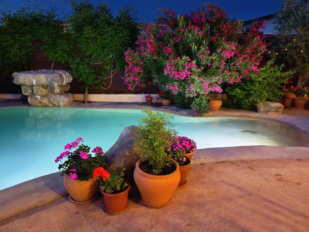 a swimming pool with potted plants and flowers at Casa Rural Dani. Escalona in Toledo