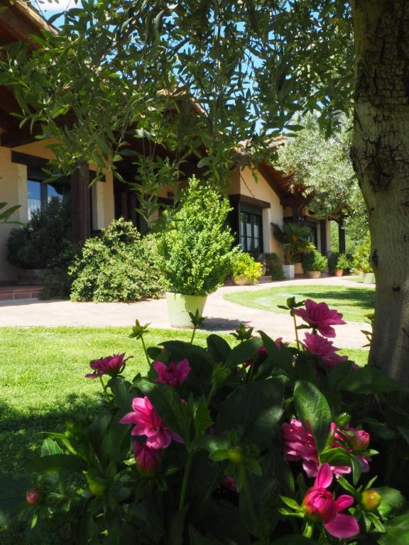a bunch of pink flowers in front of a house at La Senda Del Duratón in Sebúlcor