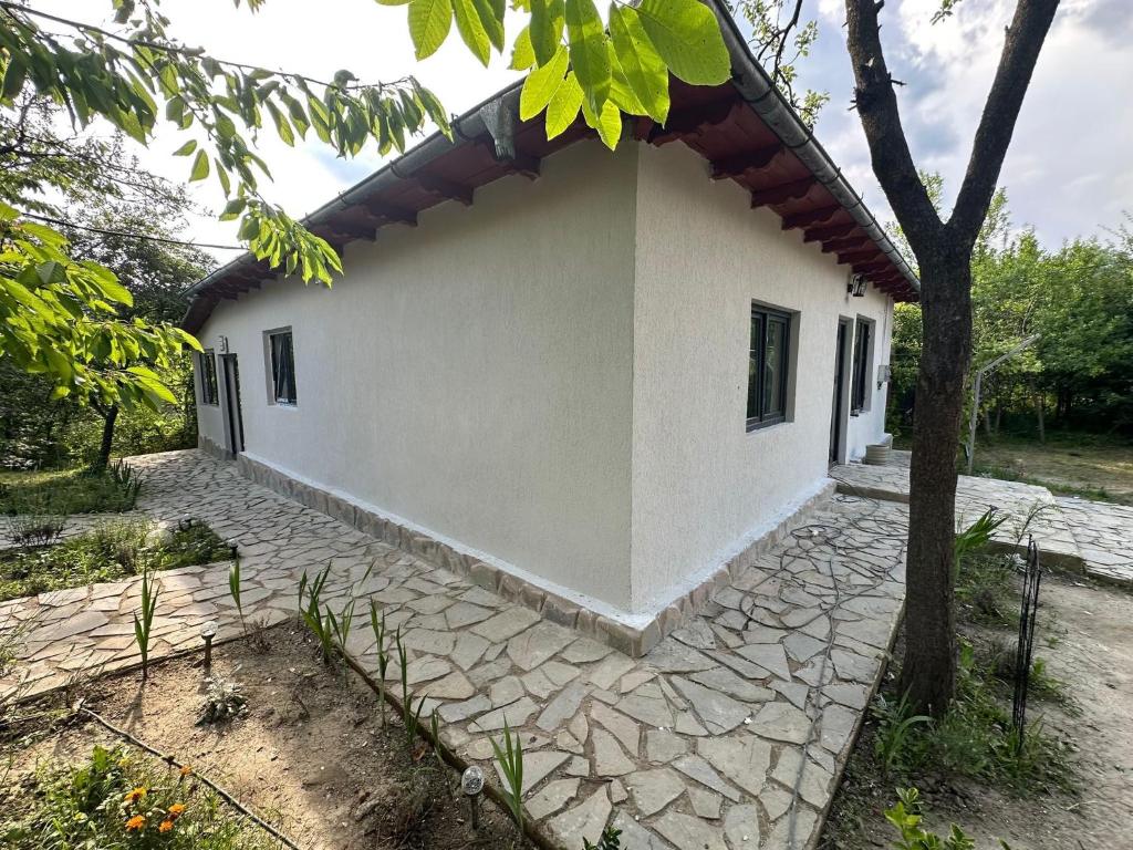 a white house with a tree in front of it at Acasa la Coana Mare in Bălăneşti