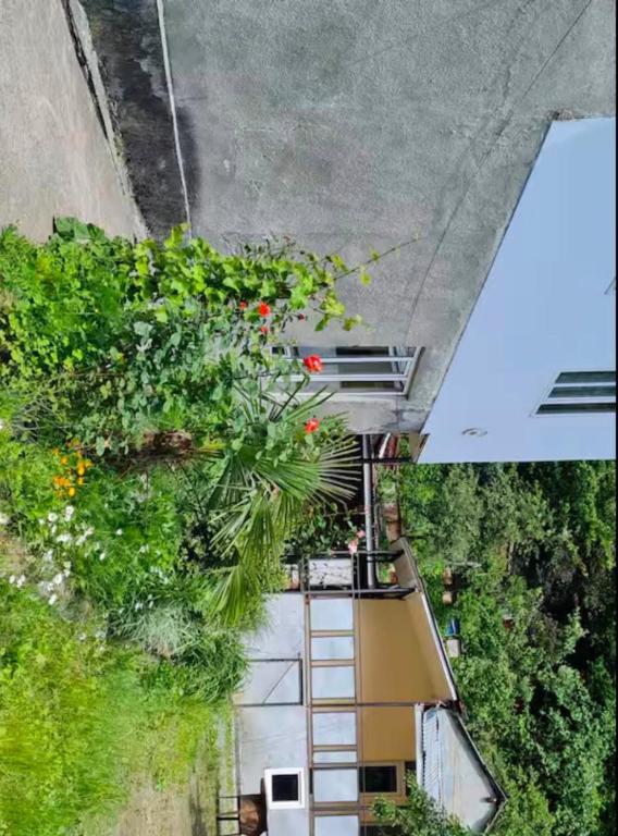 an overhead view of a building with a ladder and flowers at Debi in Gulida