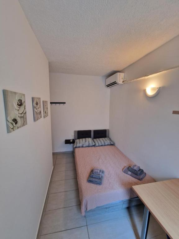 Diana's Cozy 9 Studio