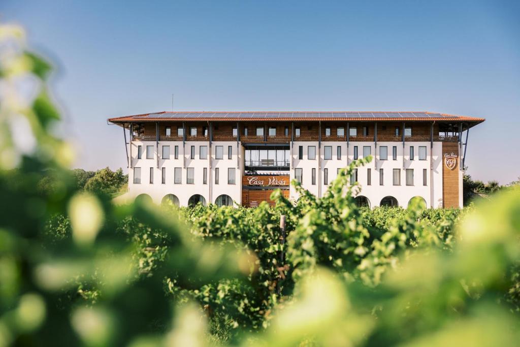 a white building with a brown roof on top of a field at Casa Vlasia in Snagov
