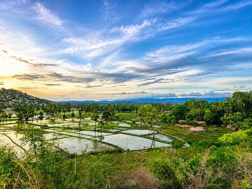 a view of a field with water and trees at Gowri Guest House in Hampi