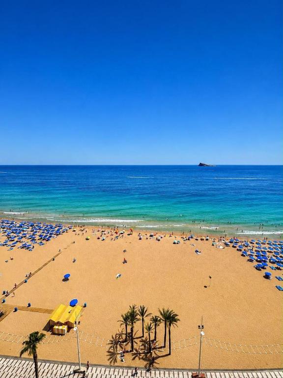 a beach with a lot of umbrellas and the ocean at Apartamento Benidorm primera linea in Benidorm