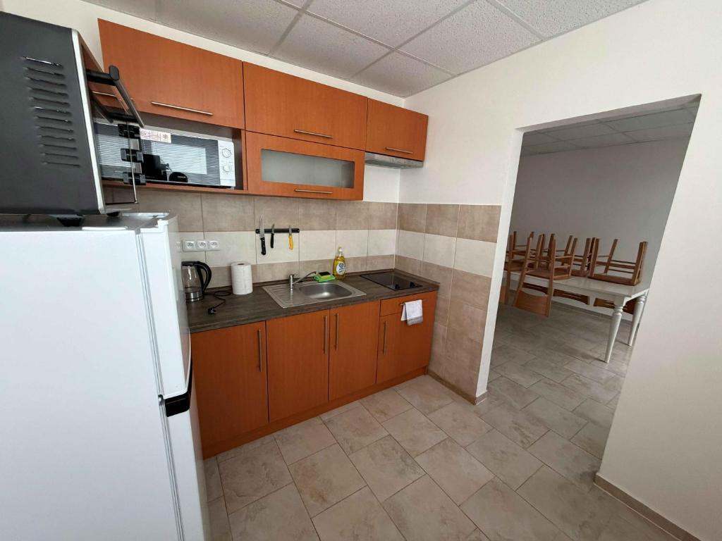 a kitchen with a sink and a refrigerator at Ubytování ProDante in Ostrava