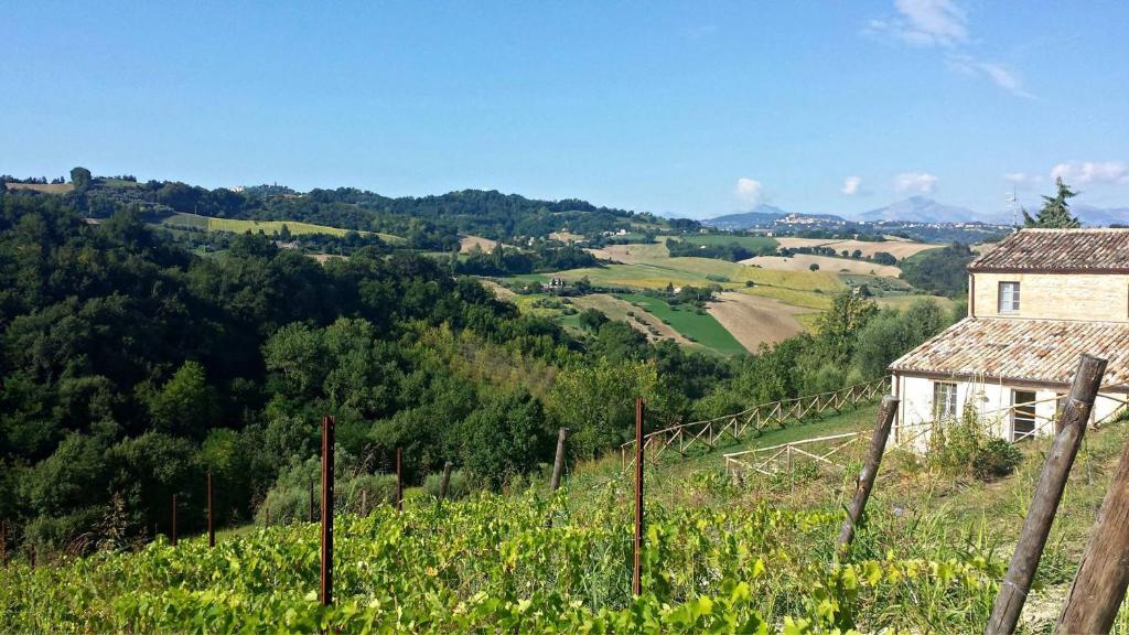 Příroda nedaleko prázdninového domu