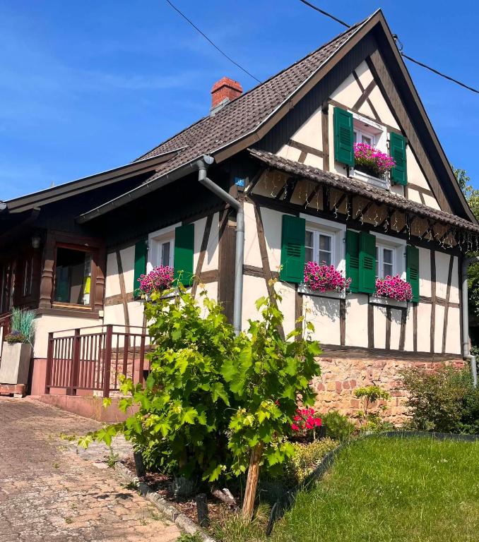 a house with green shutters and flowers on the windows at Gîte Chez Hanna et Michel 2 chambres in Morsbronn-les-Bains